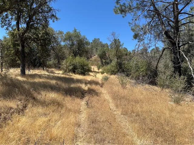 a view of a yard with a tree