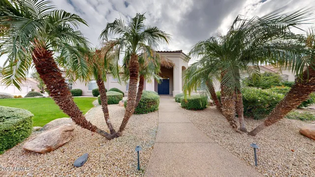 a view of a backyard with palm trees