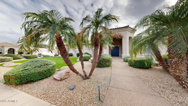 a view of a backyard with palm trees