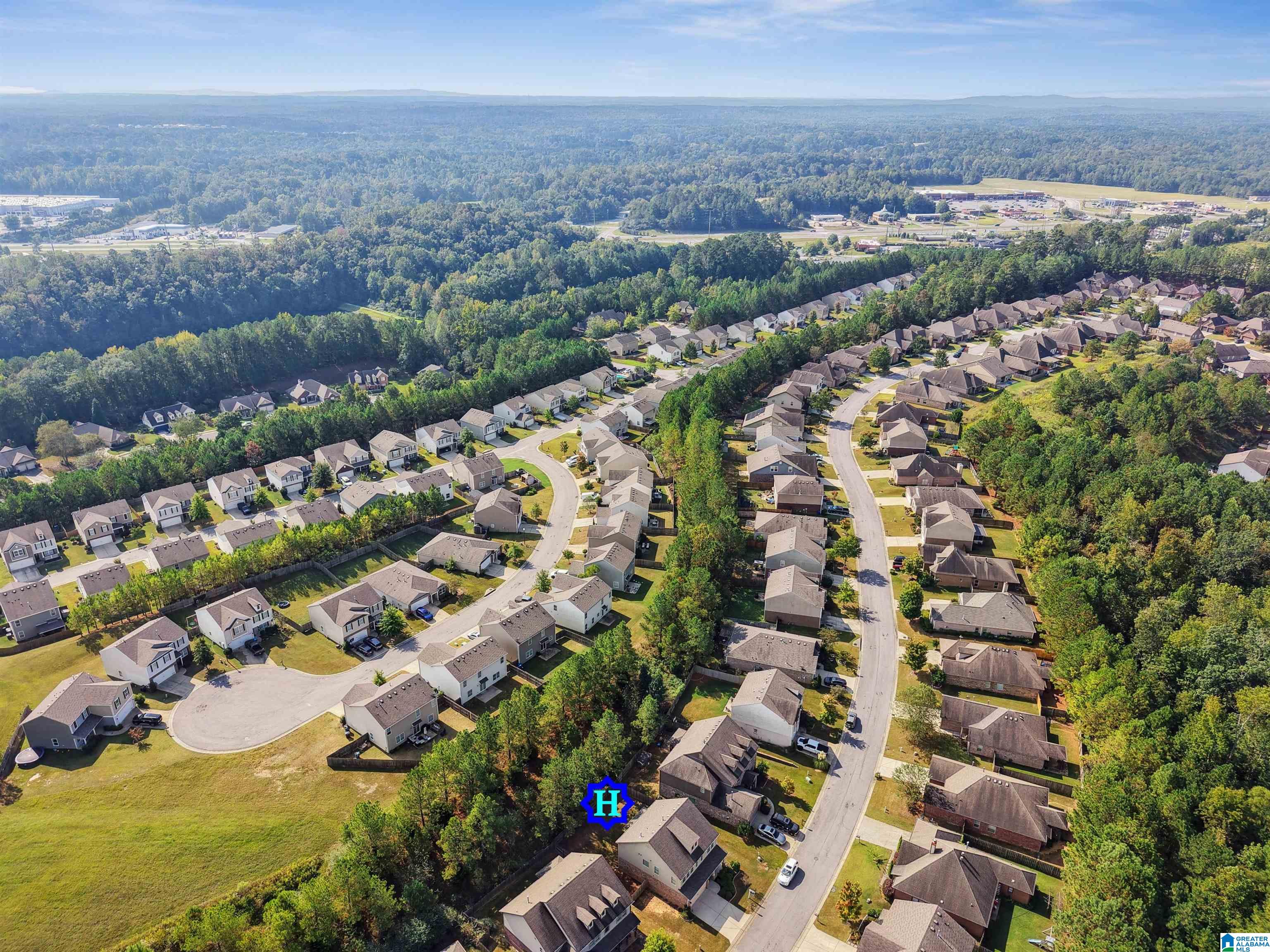 135 Chesser Loop Road Chelsea, AL 35043 - Photo 10 of 48