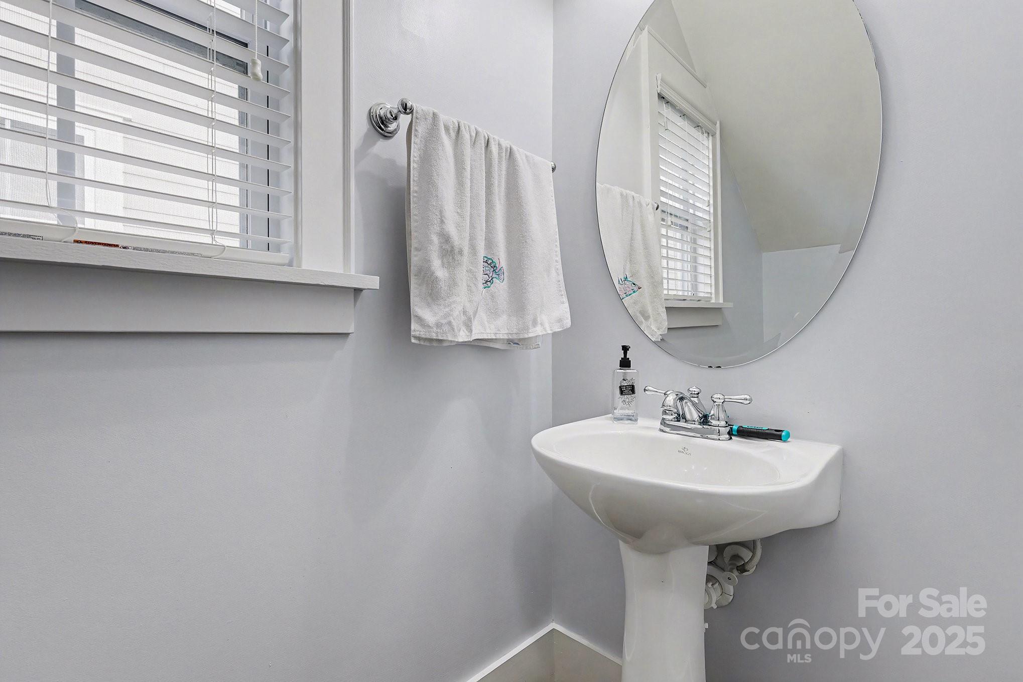 797 Herrons Ferry Road Rock Hill, SC 29730 - Photo 28 of 34 a bathroom with a sink and a mirror