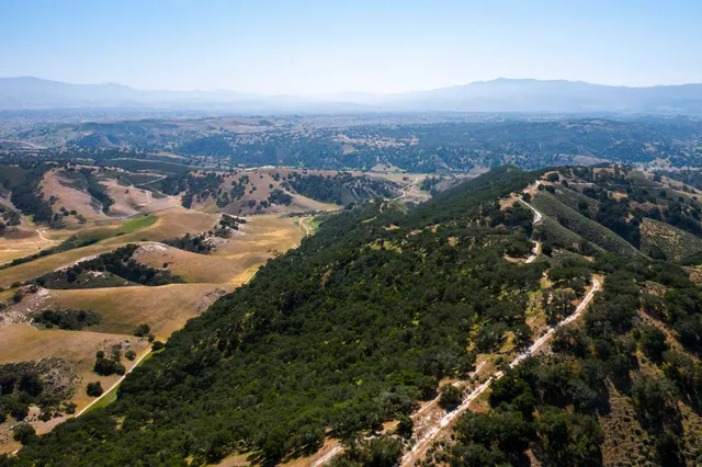 a view of a lush green field