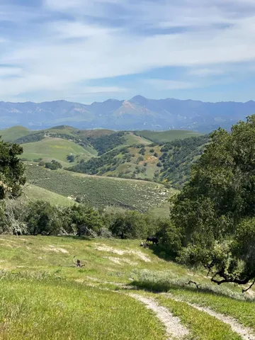 an aerial view of residential house and outdoor space