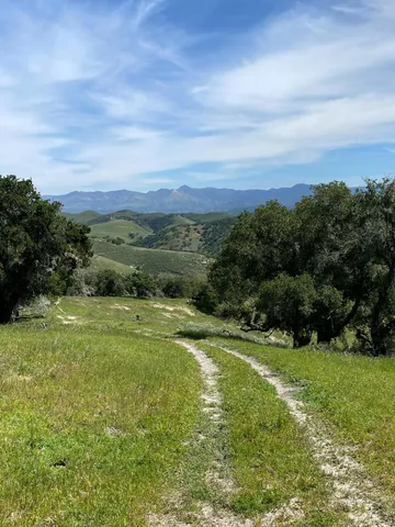 a view of a lush green field