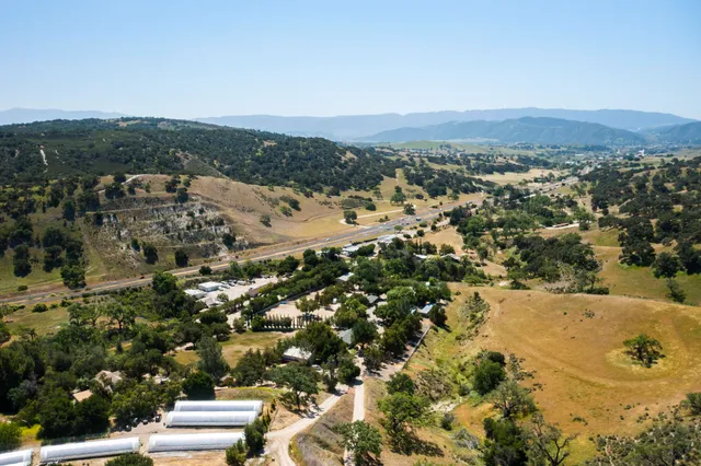 a view of a field with a tree in the background