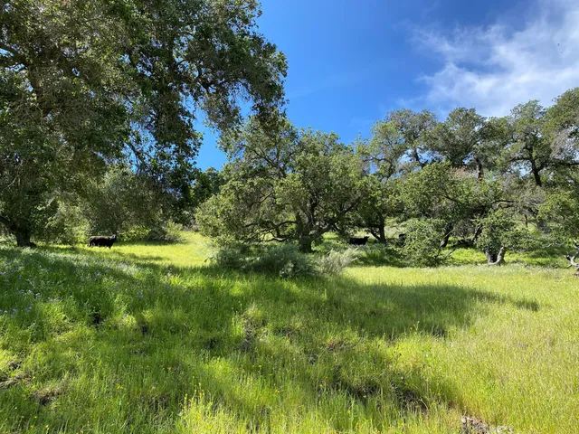 $8,495,000 | 2051 Highway 101, Buellton, CA 93427