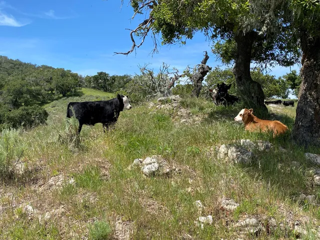 $8,495,000 | 2051 Highway 101, Buellton, CA 93427