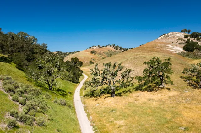 a view of a city with lush green forest