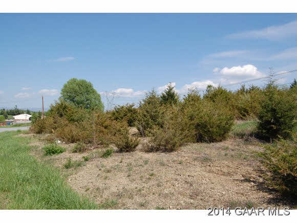 Tbd Expo Road Fishersville, VA 22939 - Photo 3 of 7 a view of a dry yard