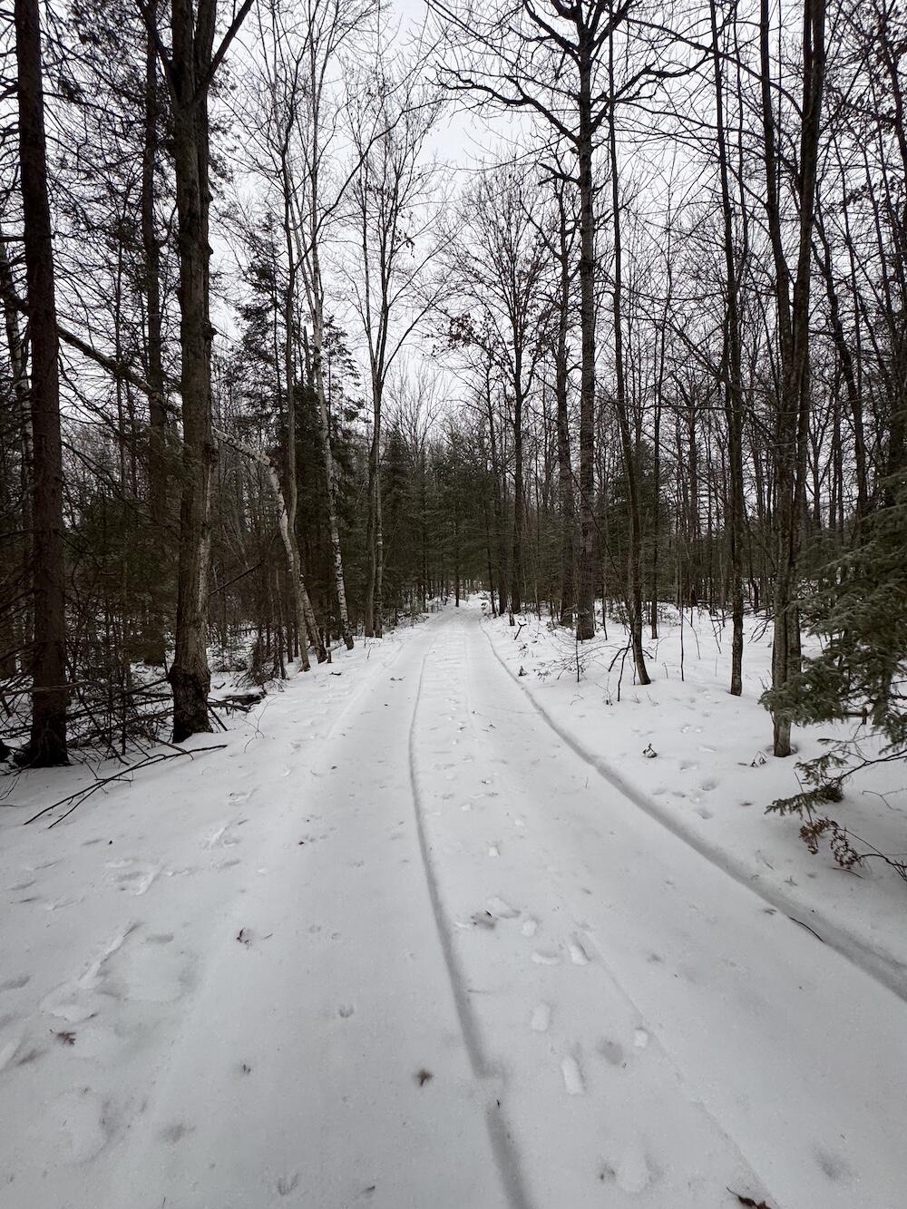 Roscommon Co MI 170+/-