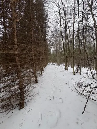 $549,900 | South Loxley Road, Houghton Lake, MI 48629