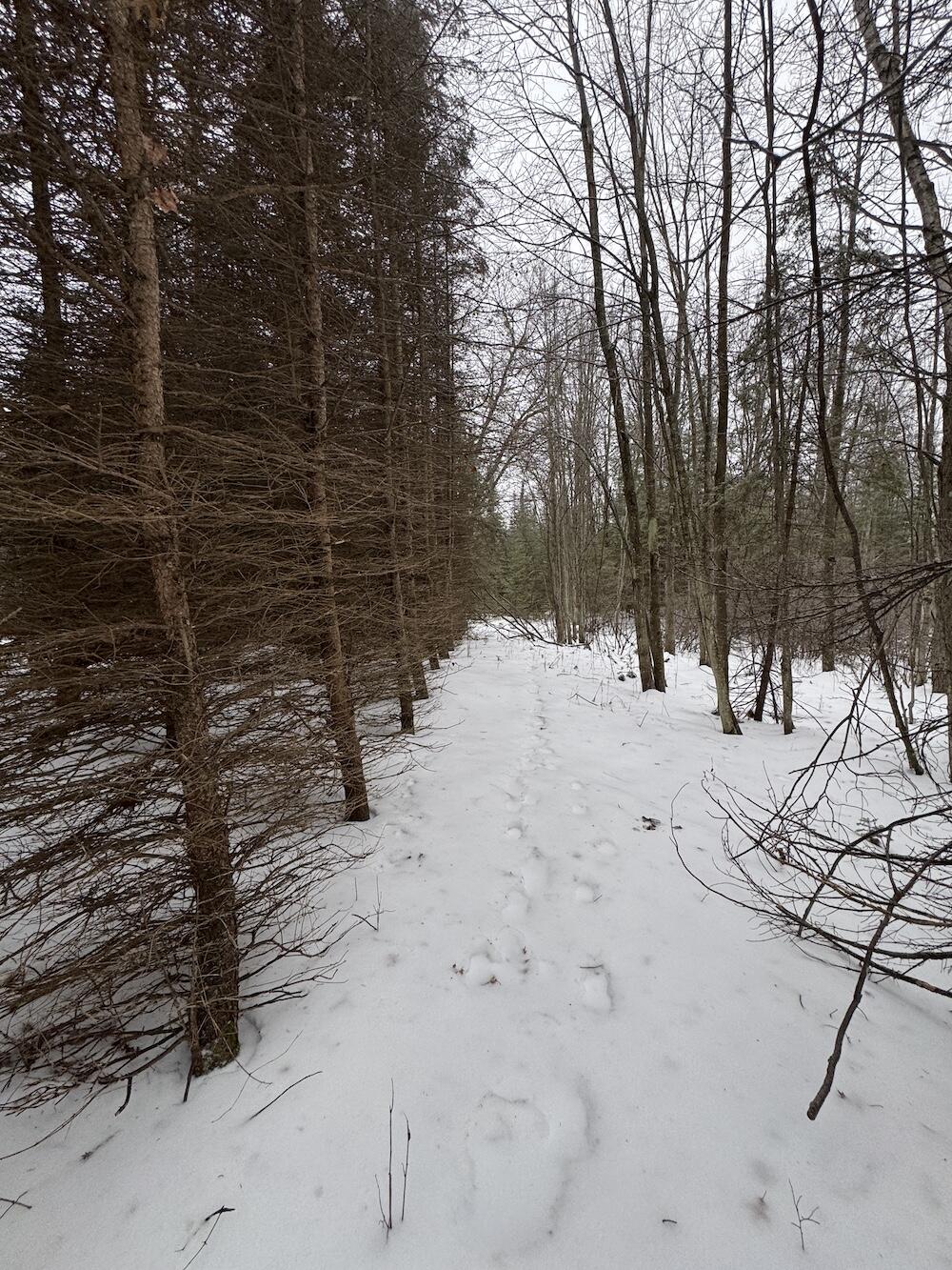 South Loxley Road Houghton Lake, MI 48629 - Photo 11 of 73 IMG_8546