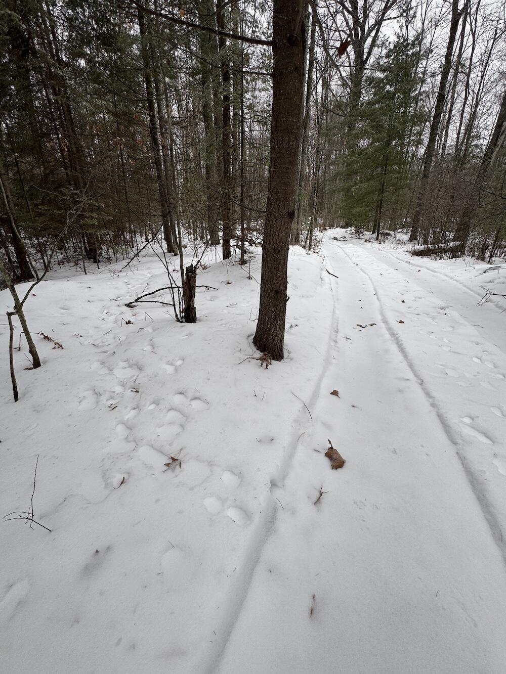 South Loxley Road Houghton Lake, MI 48629 - Photo 12 of 73 IMG_8547