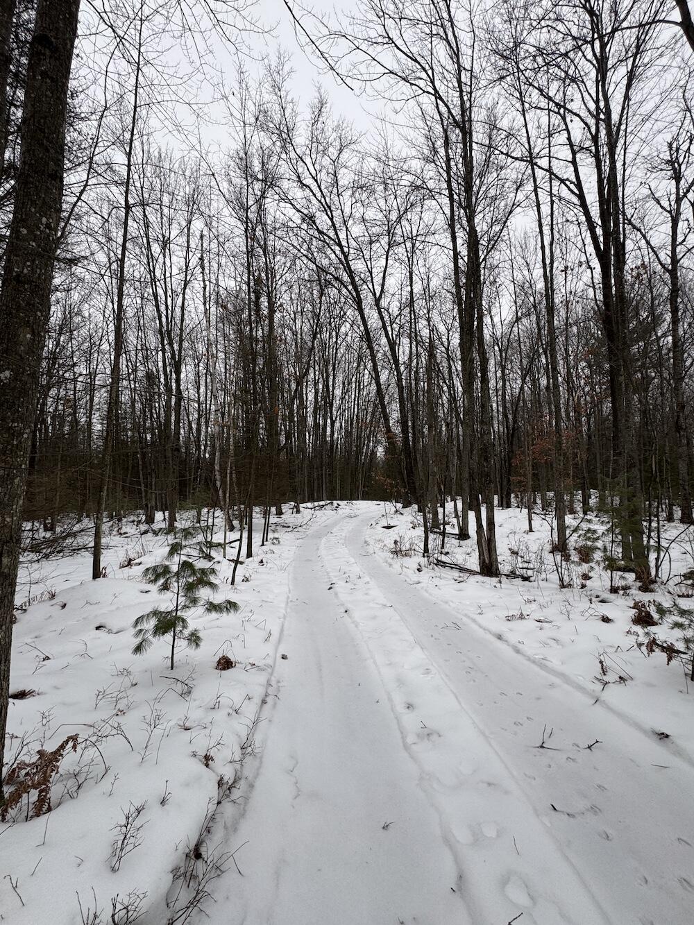 South Loxley Road Houghton Lake, MI 48629 - Photo 13 of 73 IMG_8548