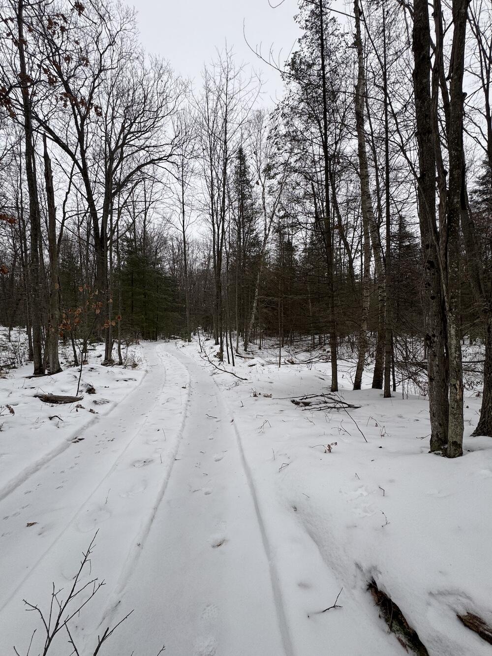 South Loxley Road Houghton Lake, MI 48629 - Photo 14 of 73 IMG_8549