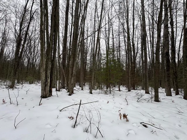 $569,900 | South Loxley Road, Houghton Lake, MI 48629