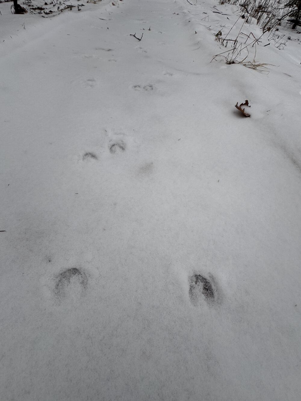 South Loxley Road Houghton Lake, MI 48629 - Photo 16 of 73 IMG_8551