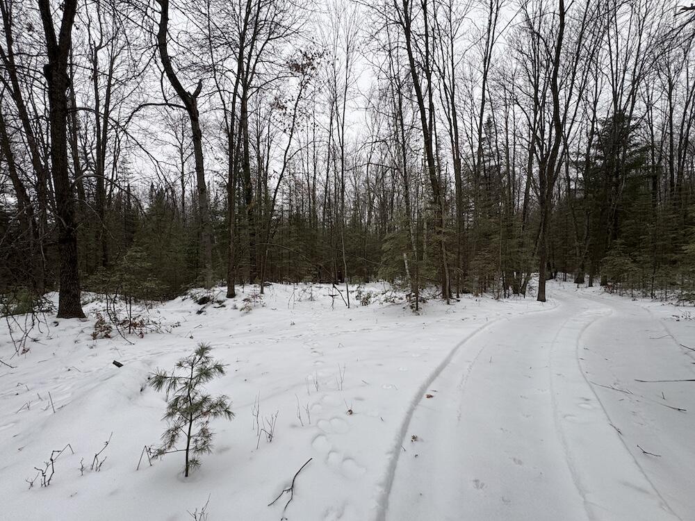 South Loxley Road Houghton Lake, MI 48629 - Photo 17 of 73 IMG_8552