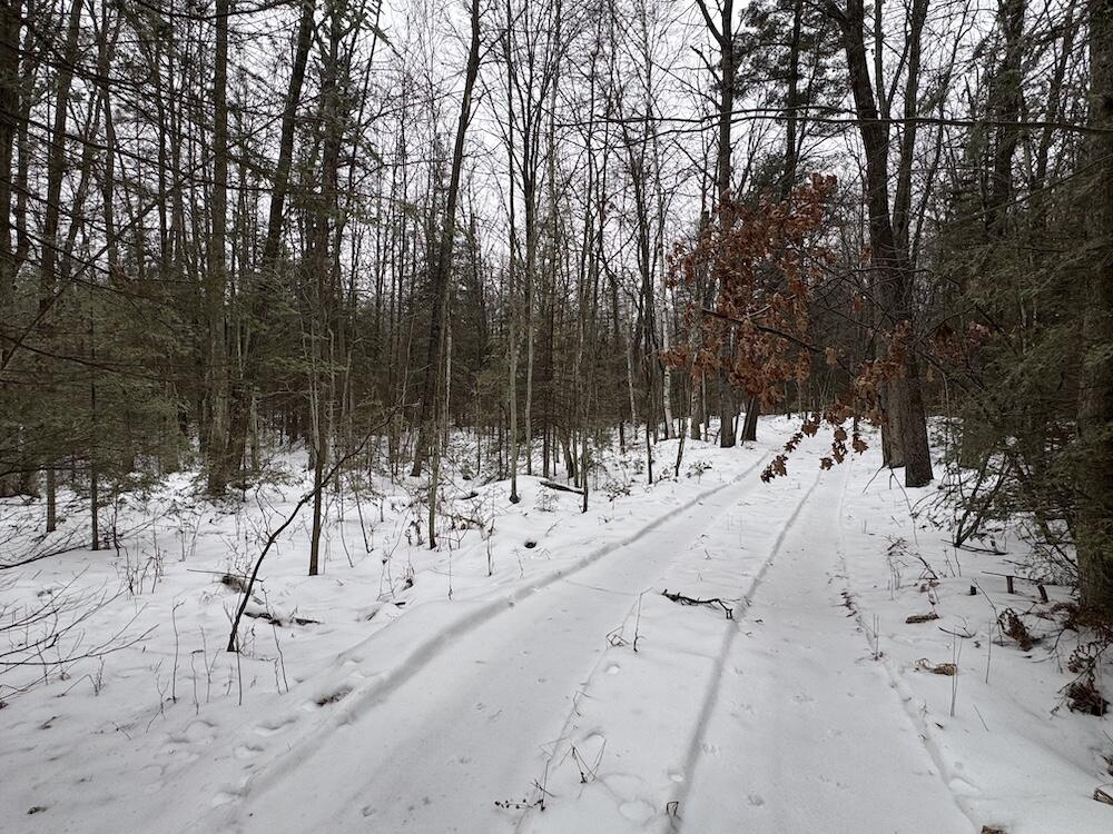 South Loxley Road Houghton Lake, MI 48629 - Photo 18 of 73 IMG_8554