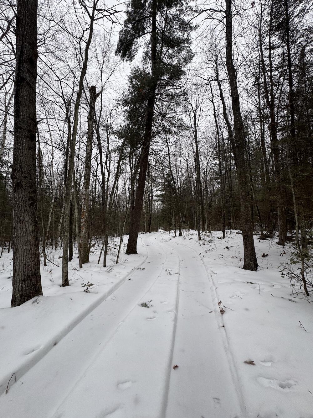 South Loxley Road Houghton Lake, MI 48629 - Photo 19 of 73 IMG_8555
