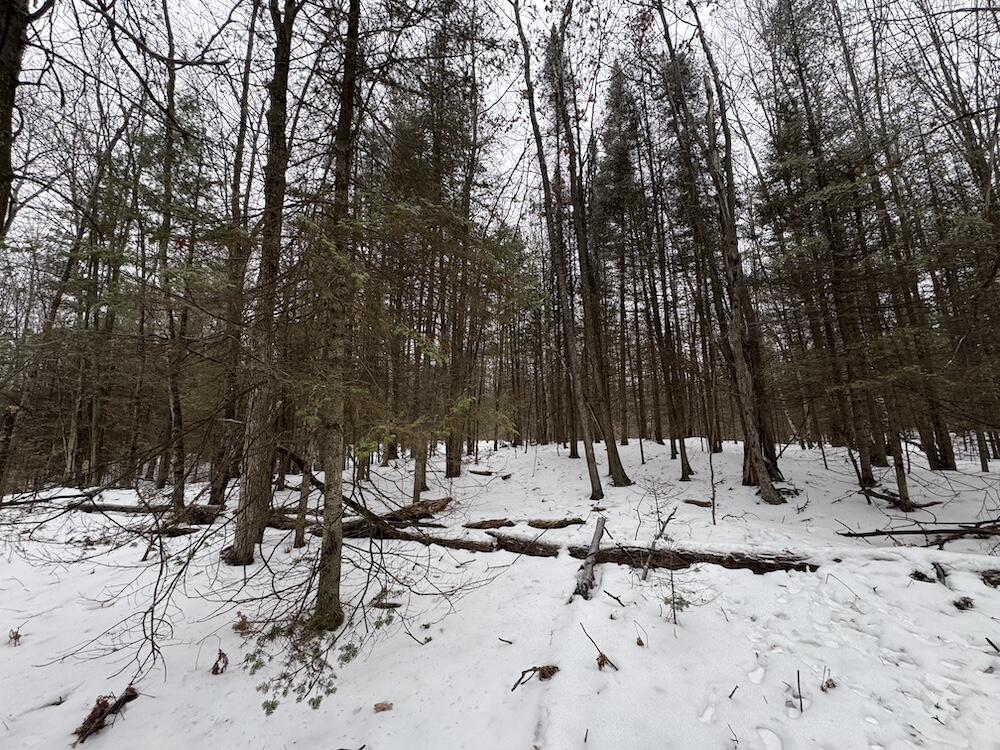 South Loxley Road Houghton Lake, MI 48629 - Photo 20 of 73 IMG_8556