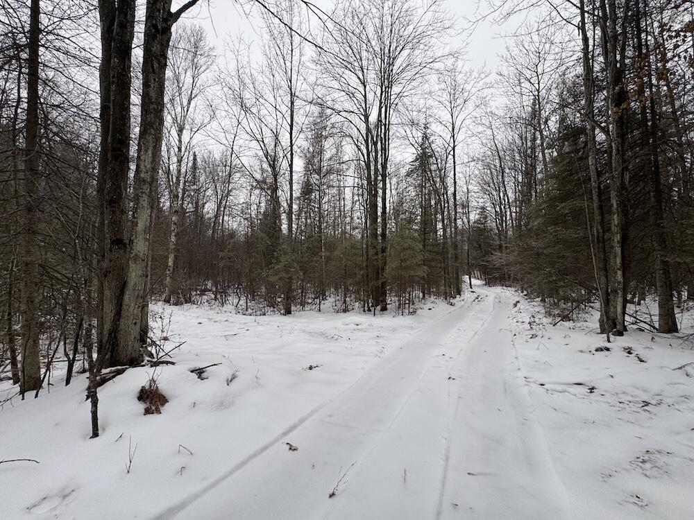 South Loxley Road Houghton Lake, MI 48629 - Photo 21 of 73 IMG_8557