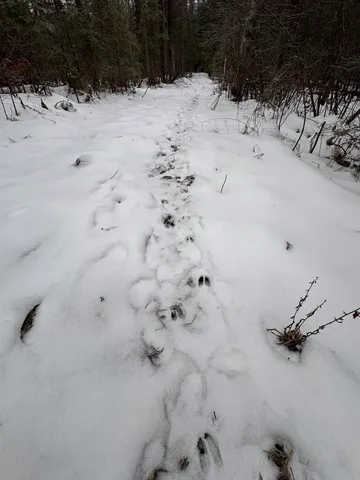 $569,900 | South Loxley Road, Houghton Lake, MI 48629