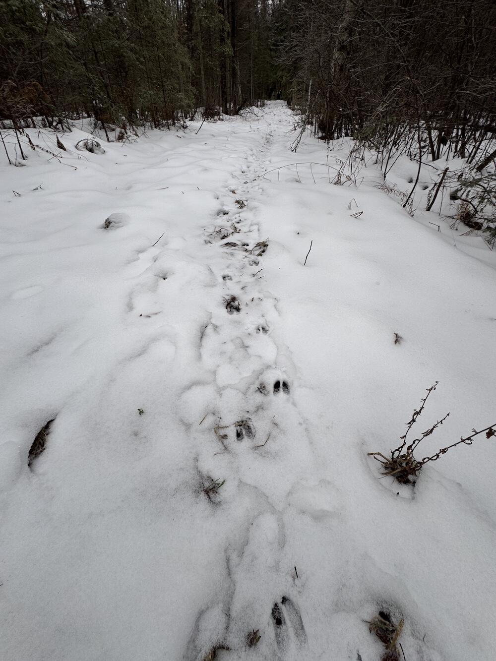South Loxley Road Houghton Lake, MI 48629 - Photo 22 of 73 IMG_8558