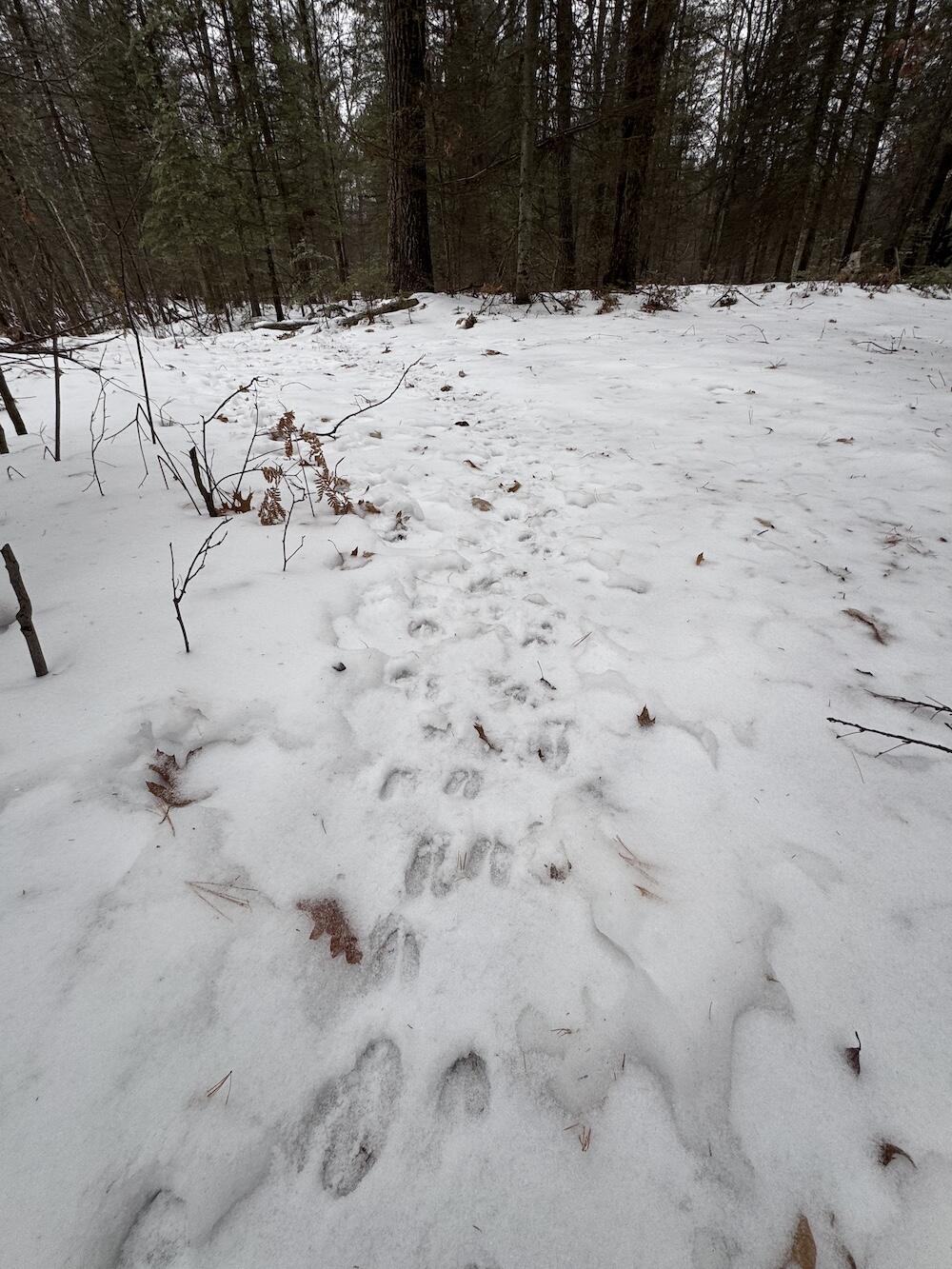 South Loxley Road Houghton Lake, MI 48629 - Photo 23 of 73 IMG_8559