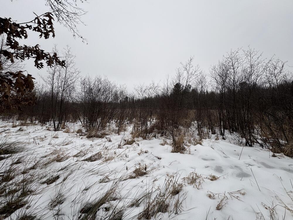 South Loxley Road Houghton Lake, MI 48629 - Photo 24 of 73 IMG_8563