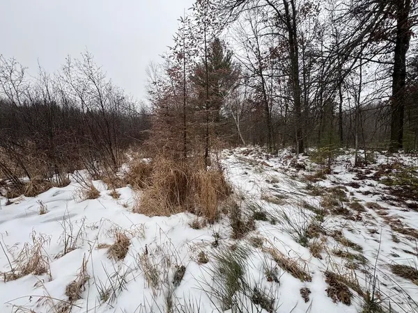 $549,900 | South Loxley Road, Houghton Lake, MI 48629