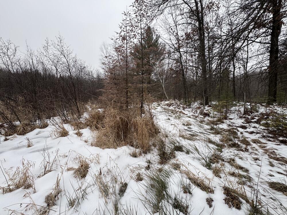 South Loxley Road Houghton Lake, MI 48629 - Photo 25 of 73 IMG_8564