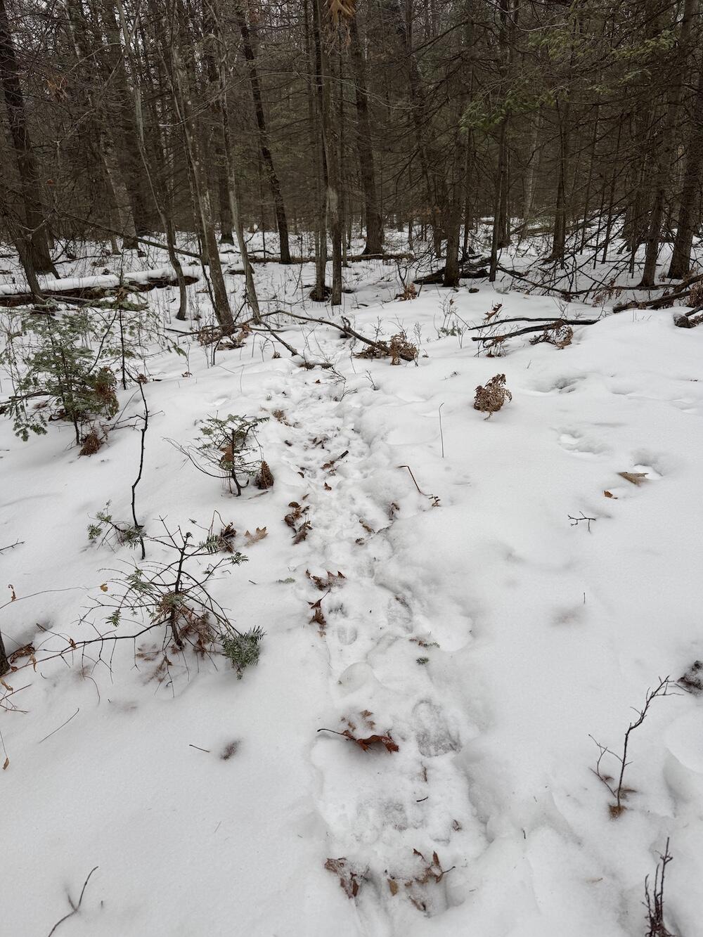 South Loxley Road Houghton Lake, MI 48629 - Photo 27 of 73 IMG_8566