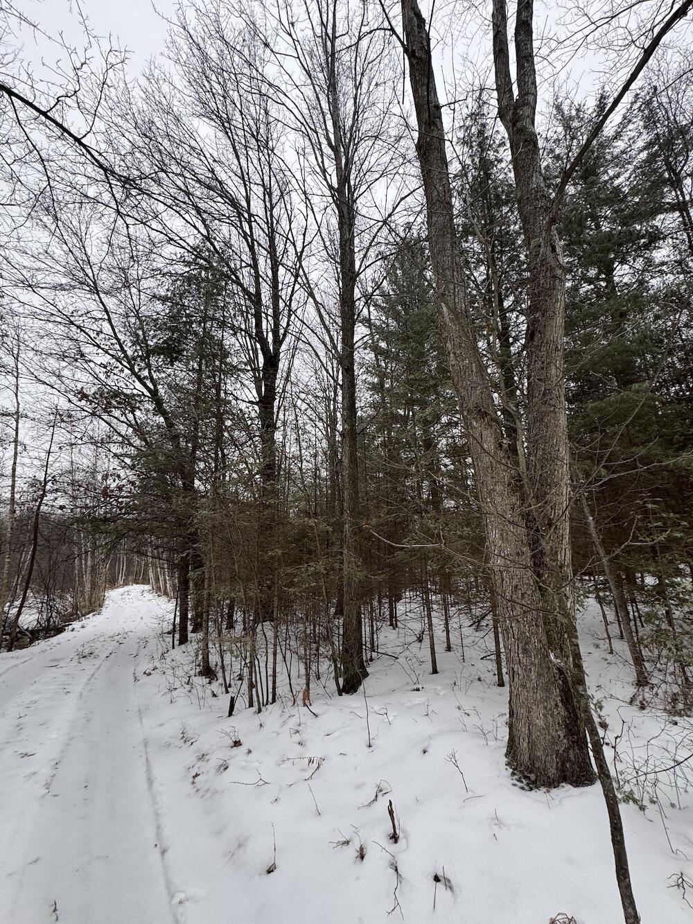 South Loxley Road Houghton Lake, MI 48629 - Photo 28 of 73 IMG_8567