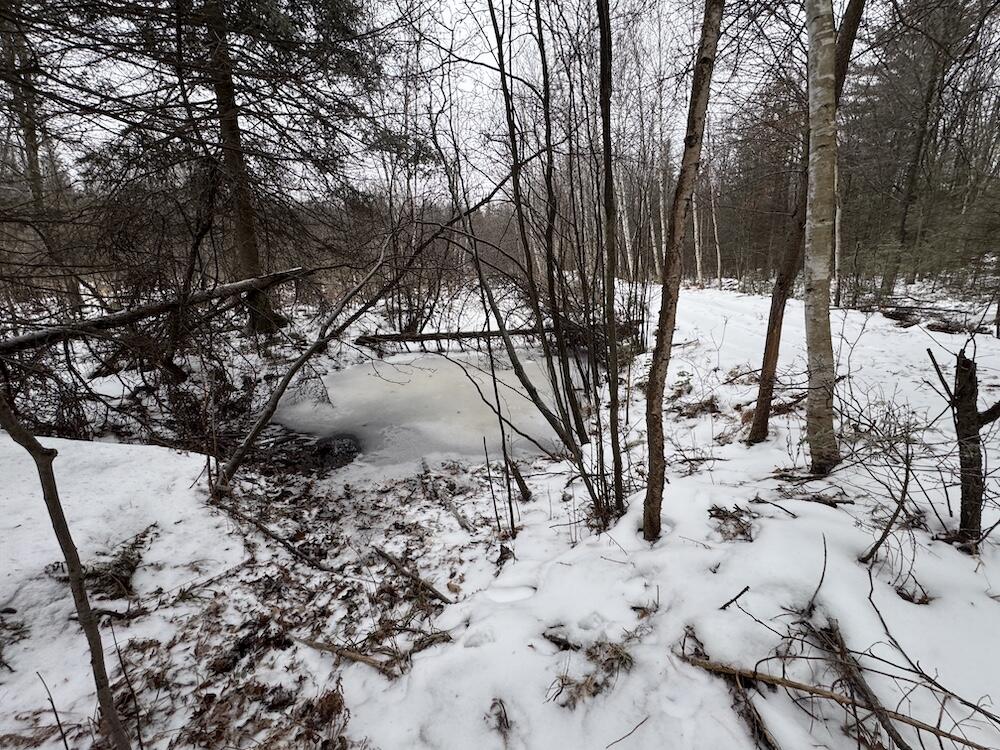 South Loxley Road Houghton Lake, MI 48629 - Photo 30 of 73 IMG_8569