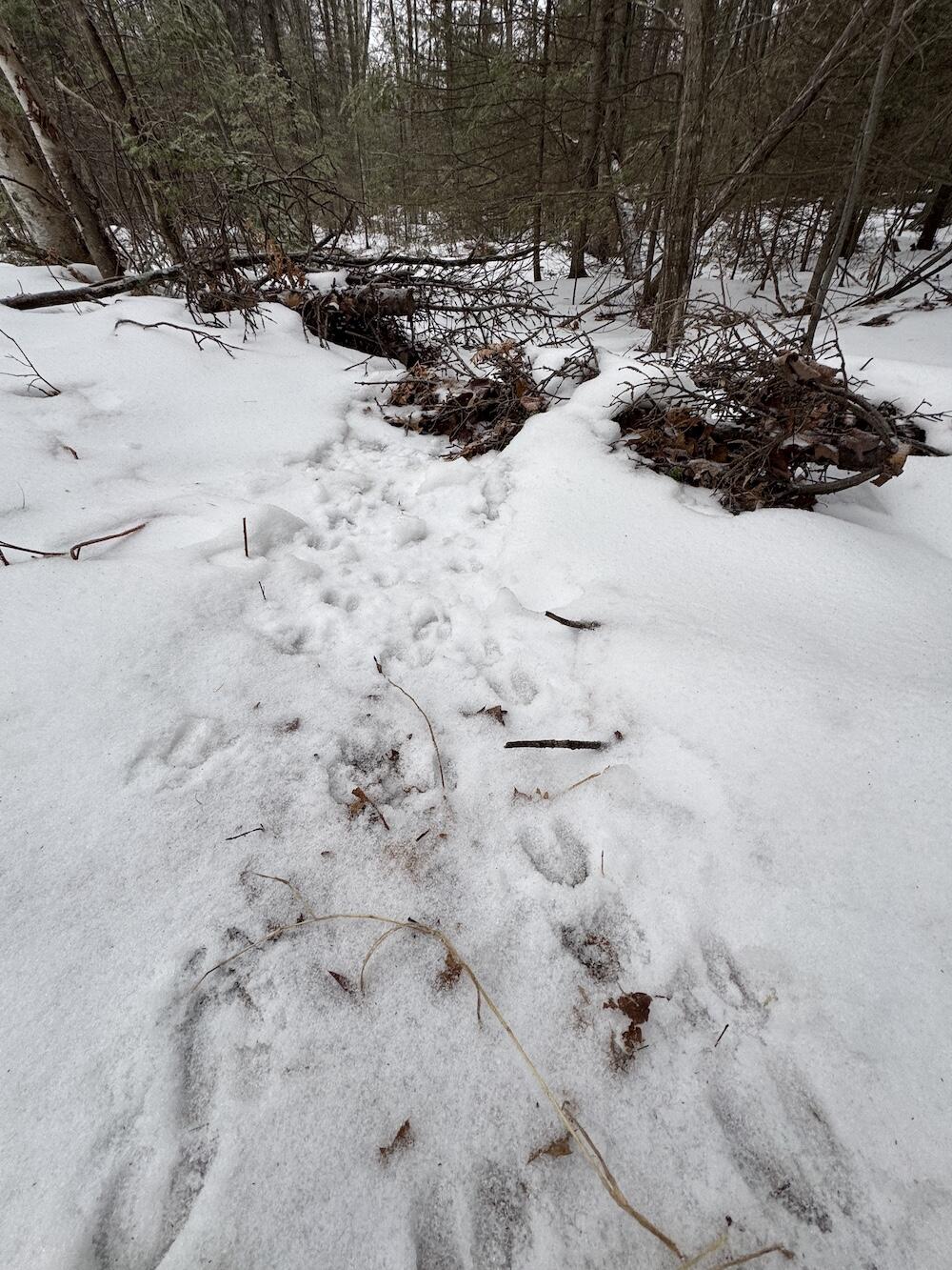 South Loxley Road Houghton Lake, MI 48629 - Photo 31 of 73 IMG_8570