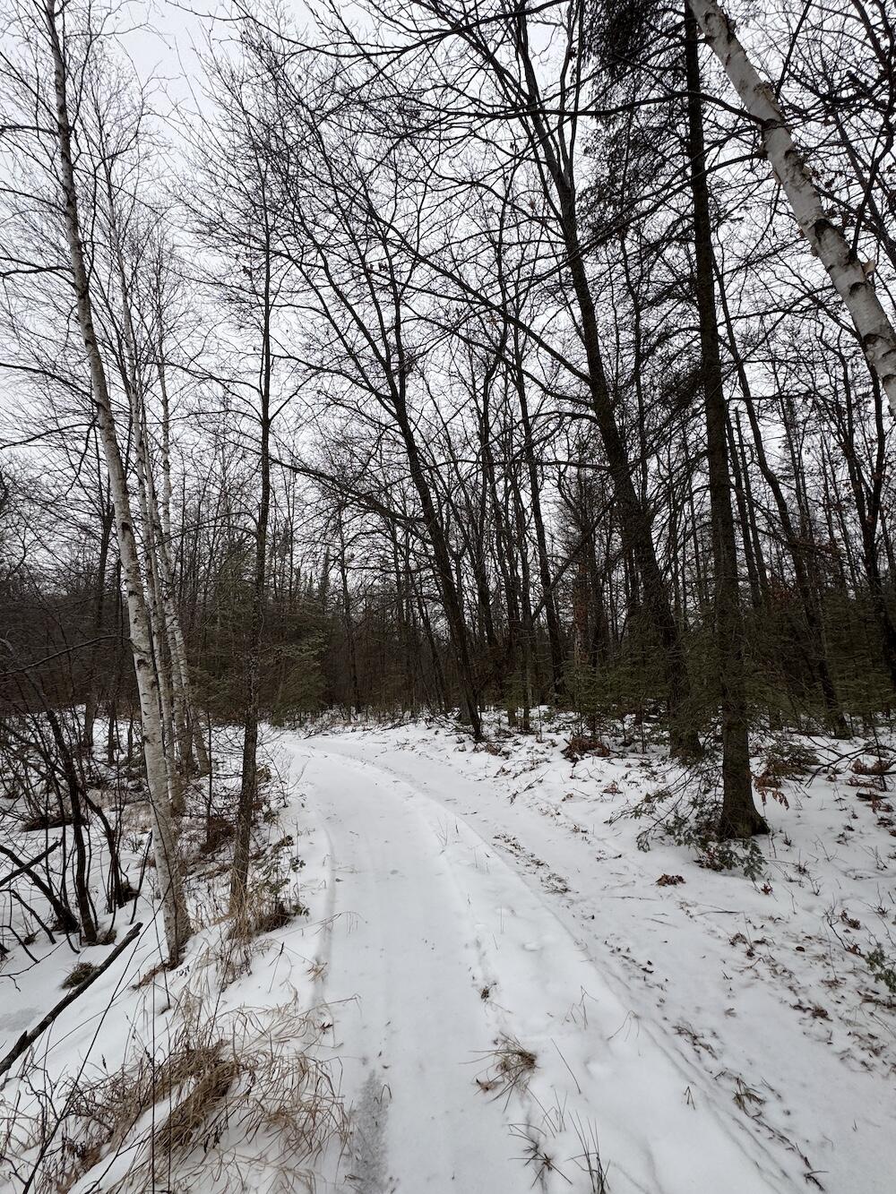 South Loxley Road Houghton Lake, MI 48629 - Photo 32 of 73 IMG_8572