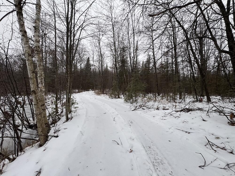 South Loxley Road Houghton Lake, MI 48629 - Photo 33 of 73 IMG_8573