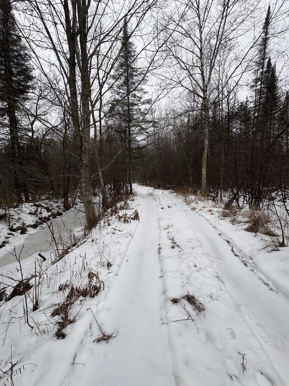 South Loxley Road Houghton Lake, MI 48629 - Photo 34 of 73 IMG_8574