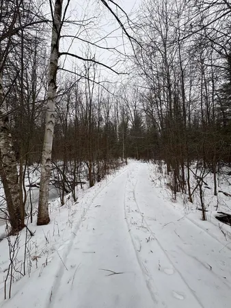 $549,900 | South Loxley Road, Houghton Lake, MI 48629