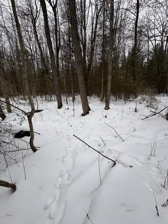 $549,900 | South Loxley Road, Houghton Lake, MI 48629