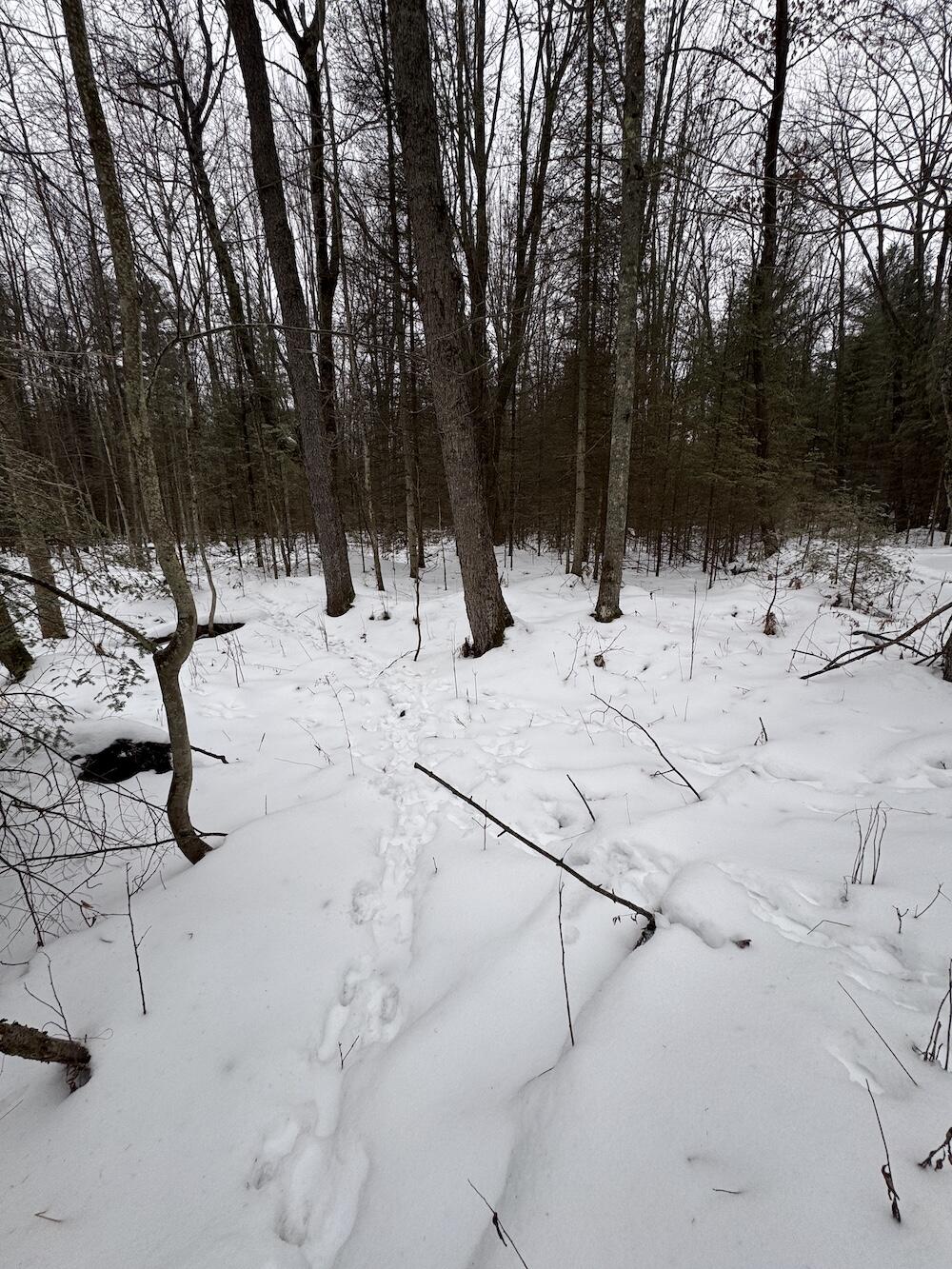 South Loxley Road Houghton Lake, MI 48629 - Photo 36 of 73 IMG_8576