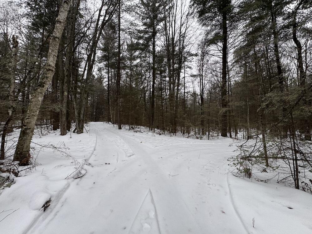 South Loxley Road Houghton Lake, MI 48629 - Photo 37 of 73 IMG_8577