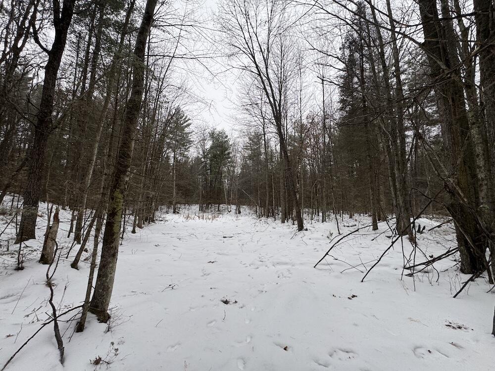 South Loxley Road Houghton Lake, MI 48629 - Photo 38 of 73 IMG_8578