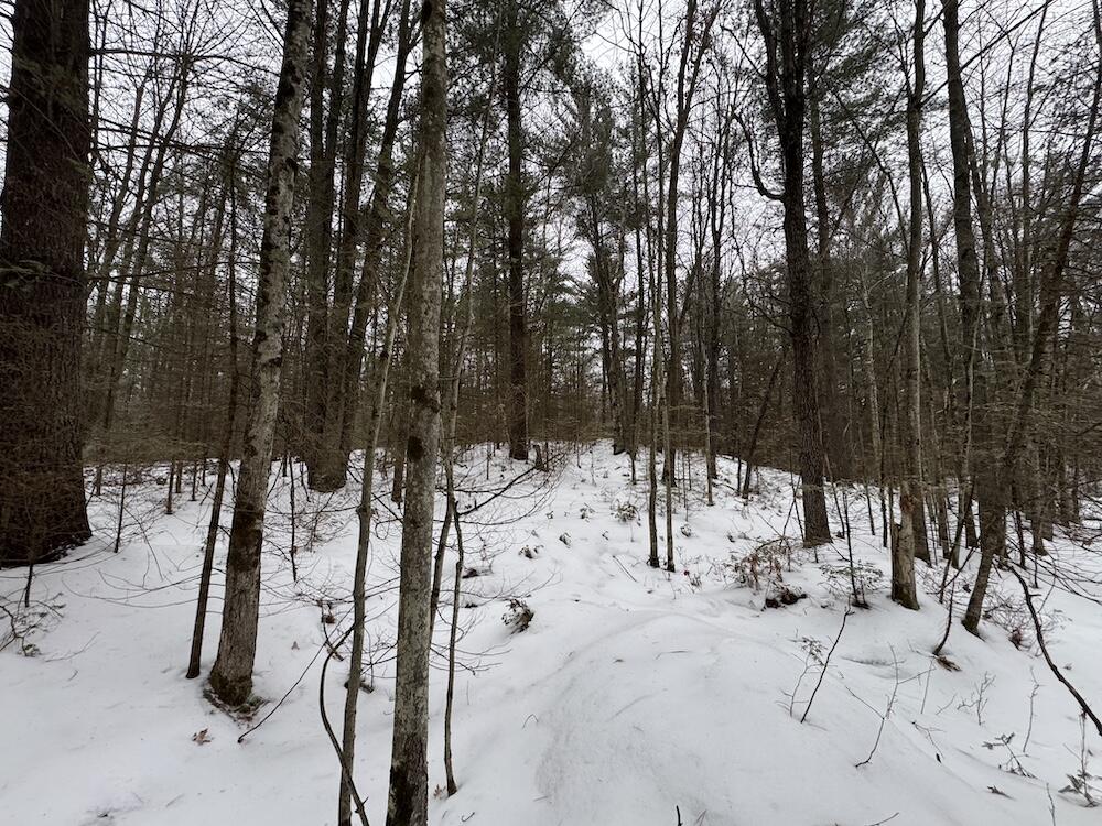 South Loxley Road Houghton Lake, MI 48629 - Photo 39 of 73 IMG_8579