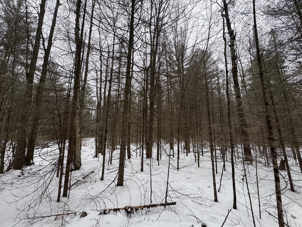 South Loxley Road Houghton Lake, MI 48629 - Photo 40 of 73 IMG_8580