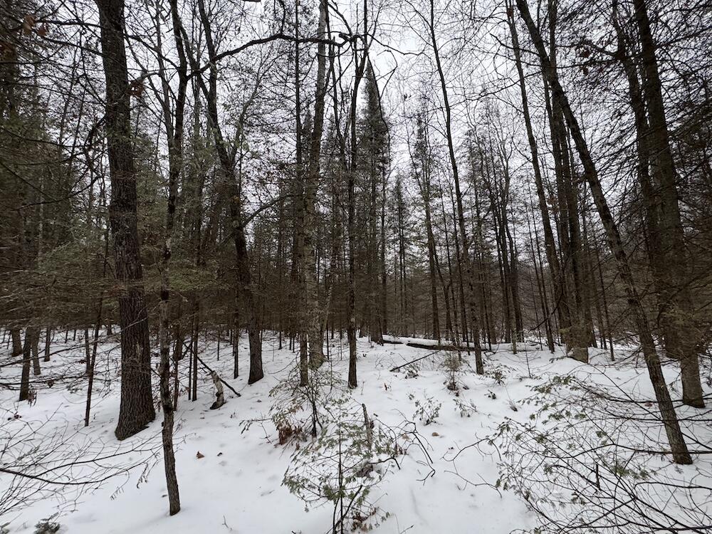 South Loxley Road Houghton Lake, MI 48629 - Photo 43 of 73 IMG_8583