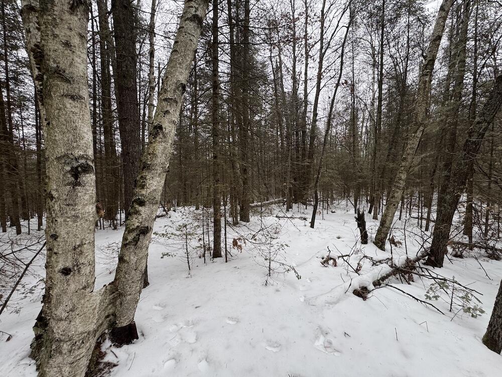 South Loxley Road Houghton Lake, MI 48629 - Photo 44 of 73 IMG_8584