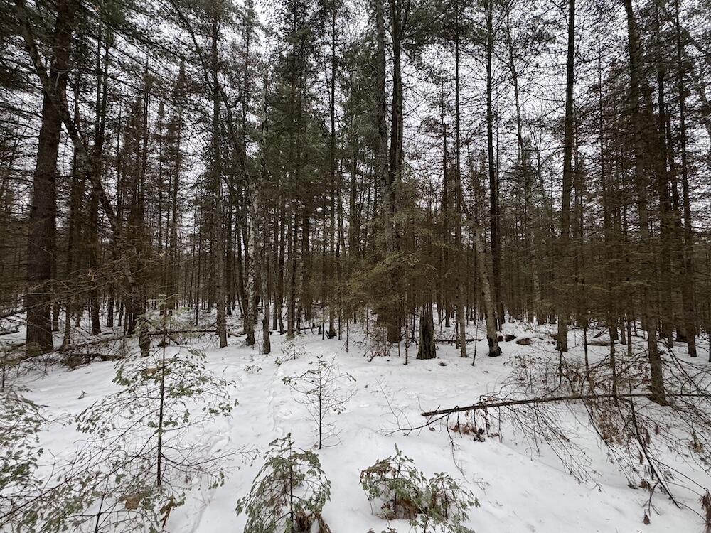 South Loxley Road Houghton Lake, MI 48629 - Photo 45 of 73 IMG_8585