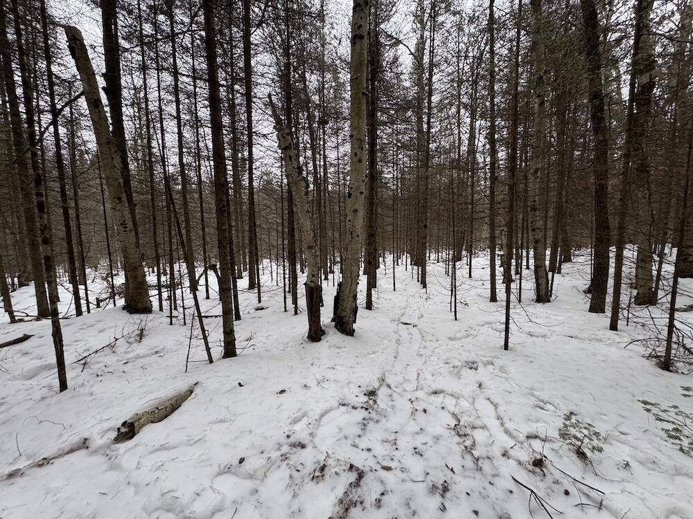 South Loxley Road Houghton Lake, MI 48629 - Photo 46 of 73 IMG_8586